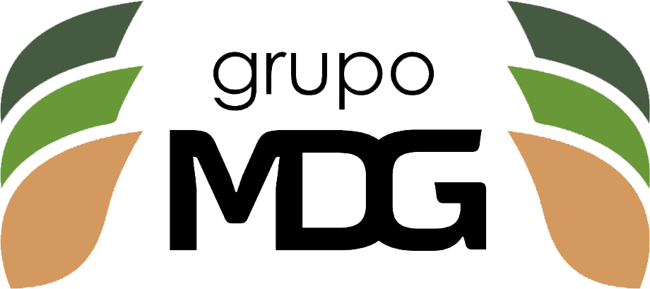 GRUPO MDG